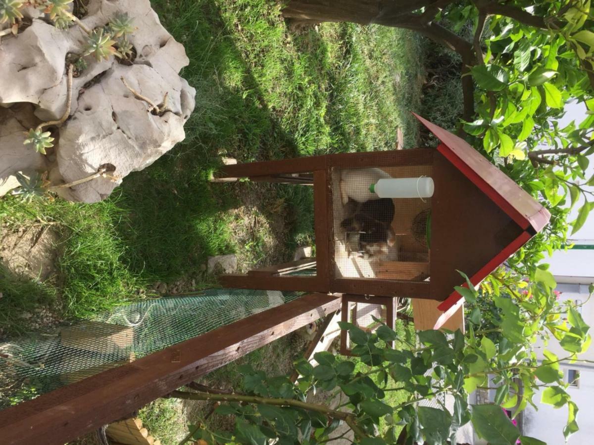 Apartmani Zorica Rab Town Exterior photo